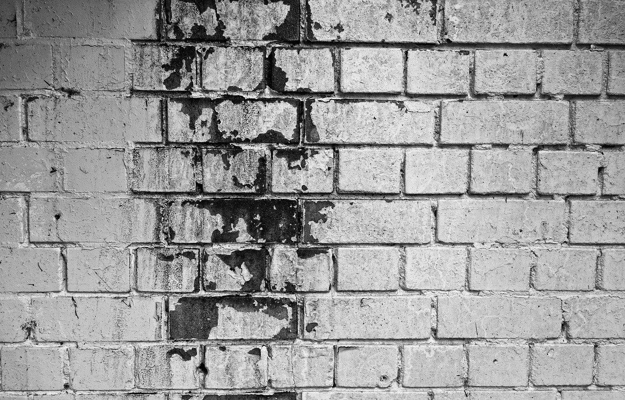 brick wall, white wall, white brick wall, mold, brickwork, masonry, seam, mortar, cement, brick texture, brick backdrop, brick background, grungy, weathered, soiled, gray texture, gray wall, mold, mold, mold, mold, mold